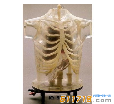 美國RSD ART Phantom胸部模體