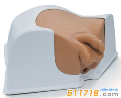 美國CIRS 048A男性骨盆模體