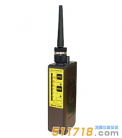 日本理研SP-210L便攜式可燃?xì)怏w檢測儀