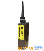 日本理研SP-210泵吸式可燃?xì)怏w檢測儀