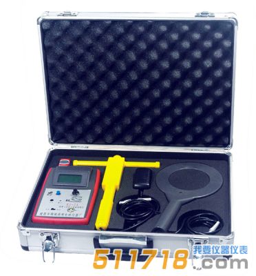 RJ-2A數(shù)字高頻電磁場（近區(qū))場強儀