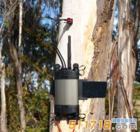 澳大利亞ICT SFM1 Sap植物莖流計(jì)