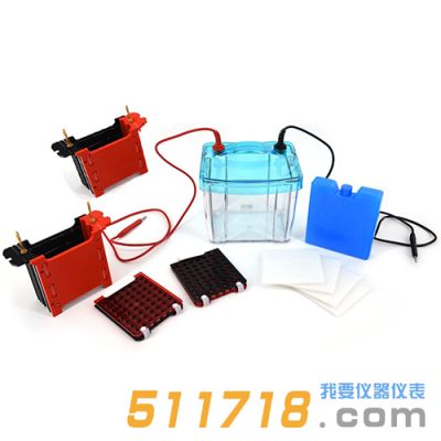 北京六一 DYCZ-40S 型四板轉(zhuǎn)印電泳儀