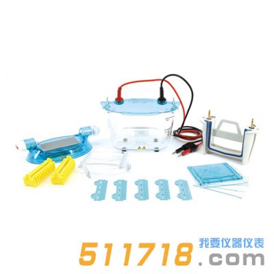 北京六一 DYCZ-24K、DYCZ-24KS型雙板垂直電泳儀