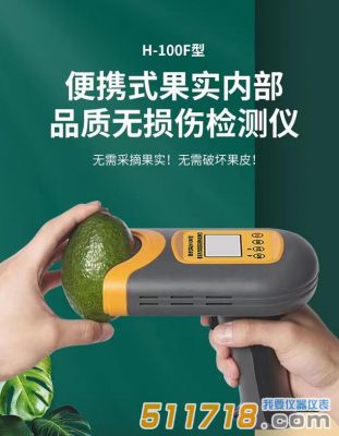 國產(chǎn)H-100F無損檢測儀