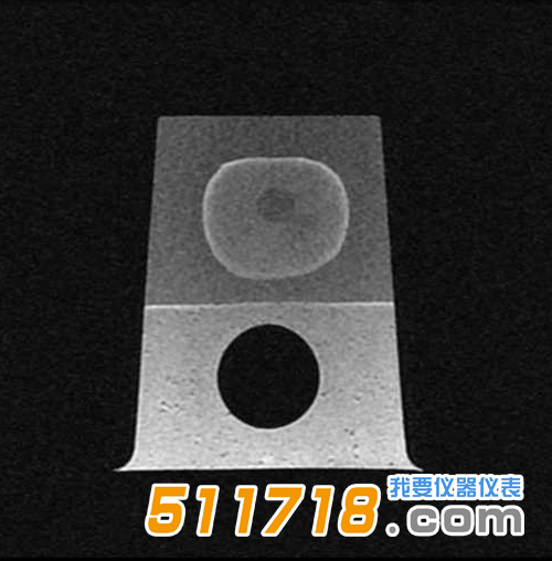 1534989827203988.png 美國CIRS 053S 053L 053L-EF前列腺M(fèi)RI測試體模5.png