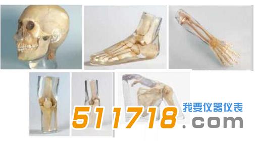 德國QUART全身X射線模體.jpg 德國QUART全身X射線模體.jpg