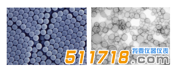 歐美克 NS-90納米粒度分析儀.png 歐美克 NS-90納米粒度分析儀.png