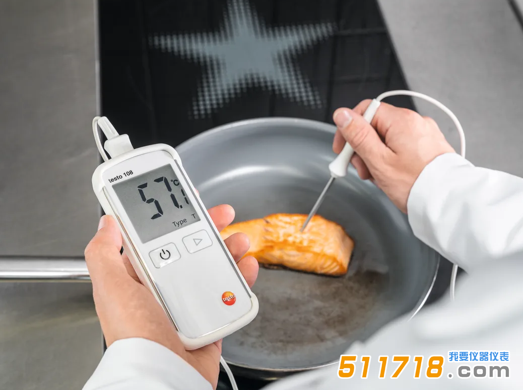 德國德圖testo 108食品溫度計.png