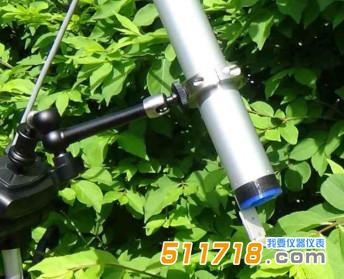 1749101391501690.jpg 2.jpg